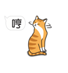 Meow Star to help~Occupy Chat（個別スタンプ：33）