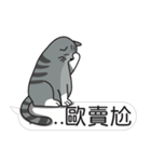 Meow Star to help~Occupy Chat（個別スタンプ：36）