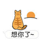 Meow Star to help~Occupy Chat（個別スタンプ：37）