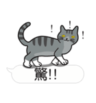 Meow Star to help~Occupy Chat（個別スタンプ：38）