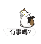 Meow Star to help~Occupy Chat（個別スタンプ：40）