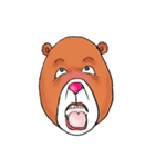 クマダケ（個別スタンプ：40）