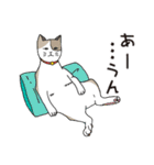 猫と私の日常（個別スタンプ：5）