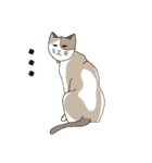猫と私の日常（個別スタンプ：10）