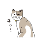 猫と私の日常（個別スタンプ：11）