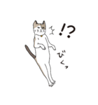 猫と私の日常（個別スタンプ：13）