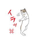 猫と私の日常（個別スタンプ：14）