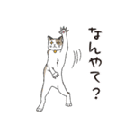 猫と私の日常（個別スタンプ：15）