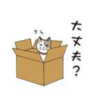 猫と私の日常（個別スタンプ：20）