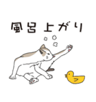 猫と私の日常（個別スタンプ：24）