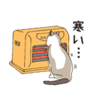 猫と私の日常（個別スタンプ：37）
