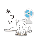 猫と私の日常（個別スタンプ：38）