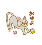 魔導師にゃんこ（個別スタンプ：10）