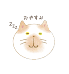 ねこだま（個別スタンプ：20）