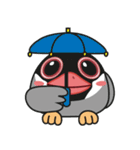 QQ Java Sparrow 3（個別スタンプ：35）