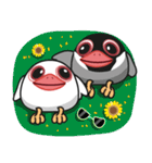 QQ Java Sparrow 3（個別スタンプ：38）