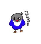 青ボタンインコスタンプ3（個別スタンプ：12）