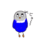 青ボタンインコスタンプ3（個別スタンプ：15）