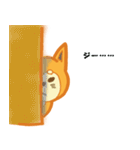 柴犬ヒカル（個別スタンプ：7）