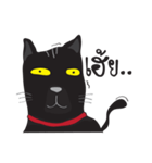 Bad Maew Black Cat（個別スタンプ：1）