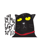 Bad Maew Black Cat（個別スタンプ：9）