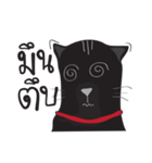 Bad Maew Black Cat（個別スタンプ：13）