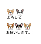 吹き出しにフレブルちゃん集合した日常会話（個別スタンプ：25）