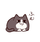 いたずら大好き猫（個別スタンプ：13）