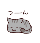 いたずら大好き猫（個別スタンプ：16）