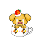 ティーカップ犬のキュートな日常（個別スタンプ：19）