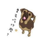 Boss Choco（個別スタンプ：1）