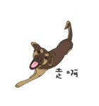 Boss Choco（個別スタンプ：4）