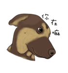 Boss Choco（個別スタンプ：5）