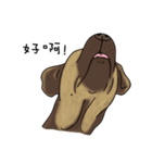 Boss Choco（個別スタンプ：9）
