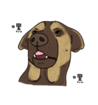 Boss Choco（個別スタンプ：21）