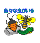 天才プログラマーカメムシくんのつっこみ（個別スタンプ：24）