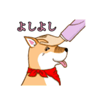 プレシャス・ライフ！（個別スタンプ：33）