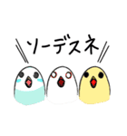 カンちゃん（個別スタンプ：21）