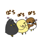 カンちゃん（個別スタンプ：25）
