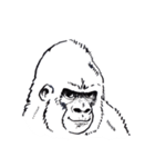 Gonger_GORILLA（個別スタンプ：38）