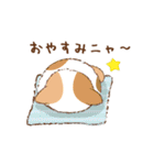 ツチネコ（個別スタンプ：12）