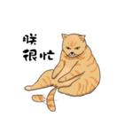 Hey~Go to clear the cat litter.（個別スタンプ：1）