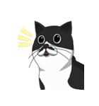 Hey~Go to clear the cat litter.（個別スタンプ：2）