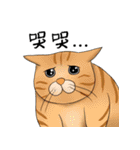 Hey~Go to clear the cat litter.（個別スタンプ：5）