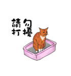 Hey~Go to clear the cat litter.（個別スタンプ：6）