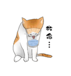 Hey~Go to clear the cat litter.（個別スタンプ：13）