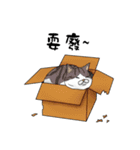 Hey~Go to clear the cat litter.（個別スタンプ：15）