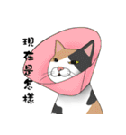 Hey~Go to clear the cat litter.（個別スタンプ：16）