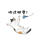 Hey~Go to clear the cat litter.（個別スタンプ：21）