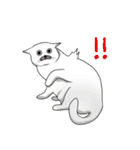 Hey~Go to clear the cat litter.（個別スタンプ：22）